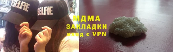 прущие грибы Алзамай