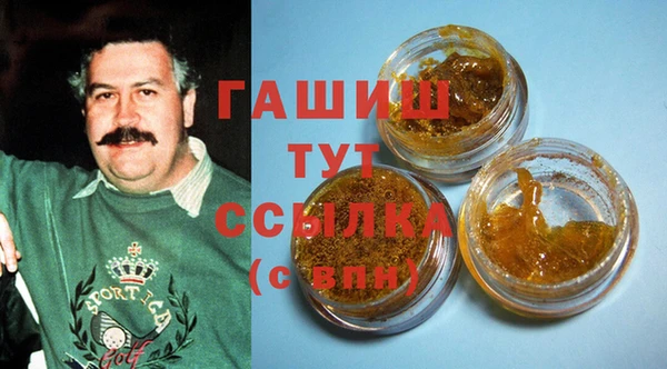 прущие грибы Алзамай