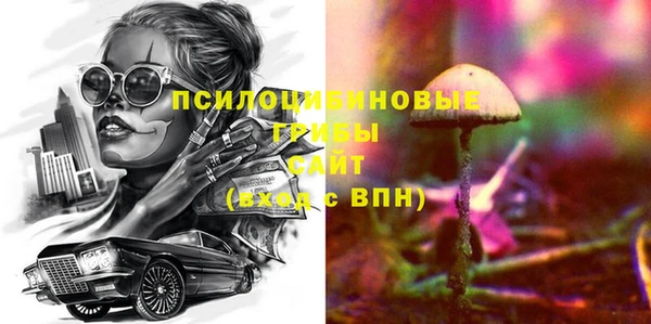 прущие грибы Алзамай