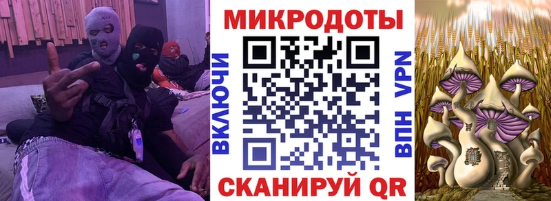 Псилоцибиновые грибы Magic Shrooms  закладки  гидра вход  Снежногорск 